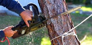 Best Lawn Irrigation Installation and Maintenance  in Temelec, CA
