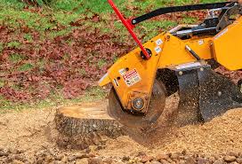 Best Utility Line Clearance  in Temelec, CA